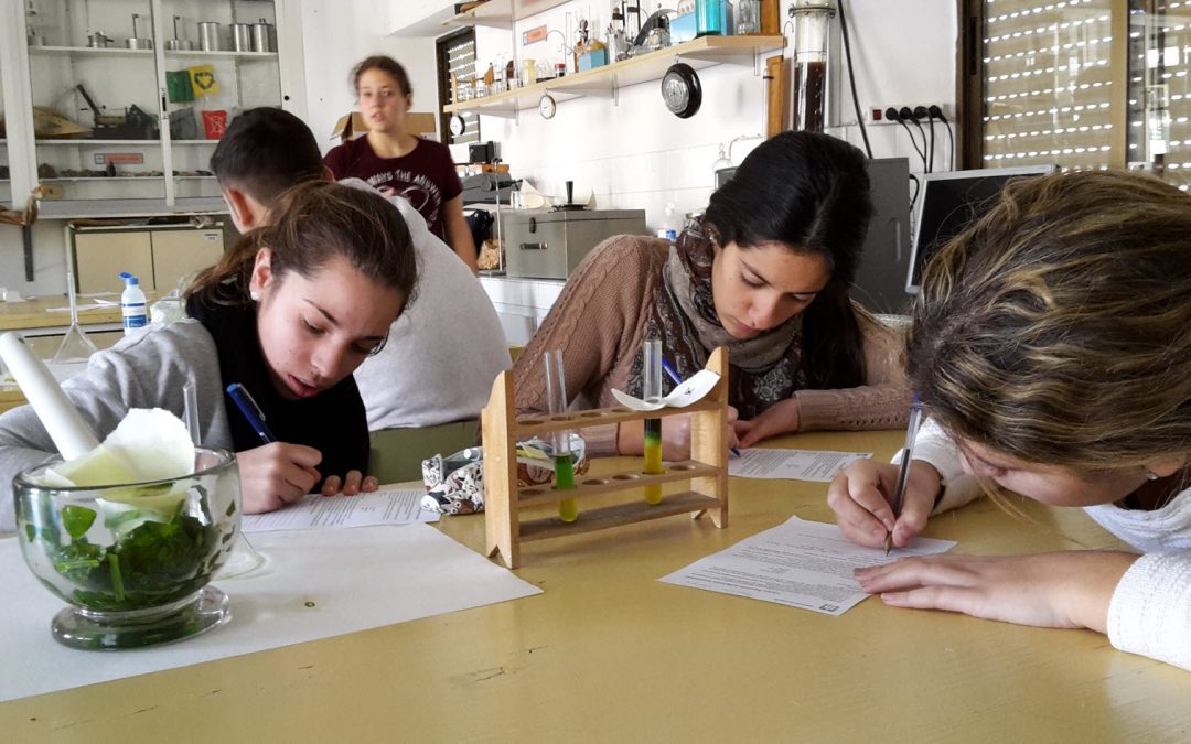 Becas del Ministerio de Educación para estudiar Bachillerato, Ciclos Formativos y FPB
