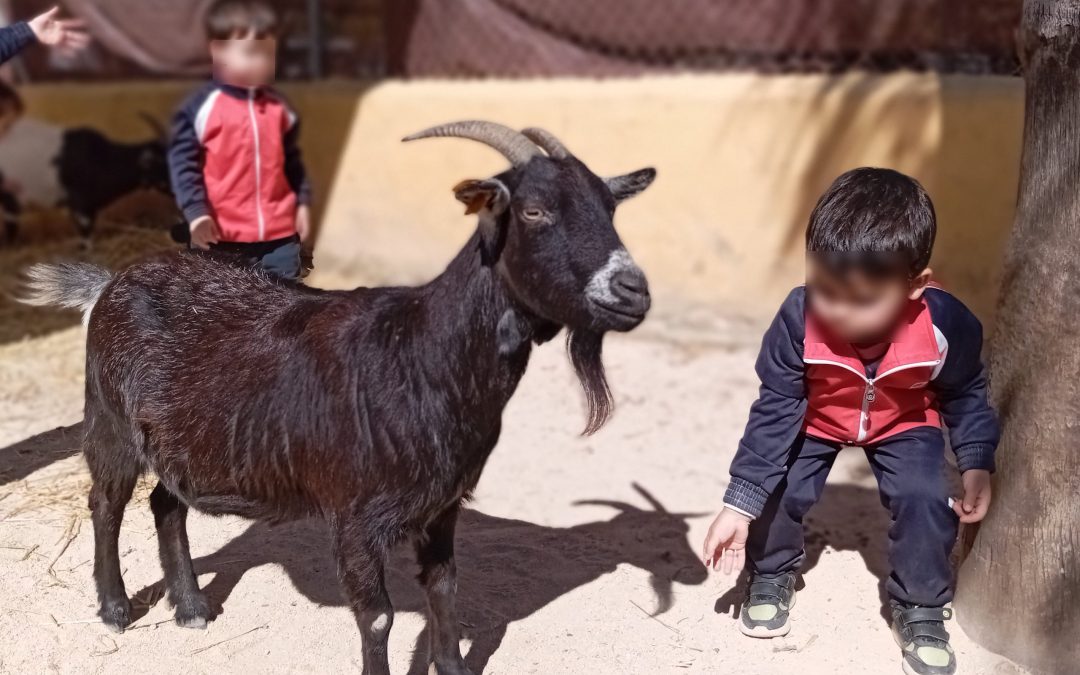 Visita a la Granja Escuela El Pato (3 años)
