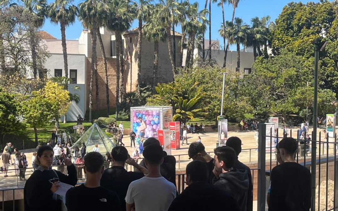 Los alumnos de 1º FG Grado Básico visitan la Alcazaba