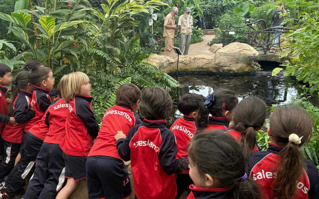 Excursión al mariposario