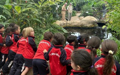 Excursión al mariposario
