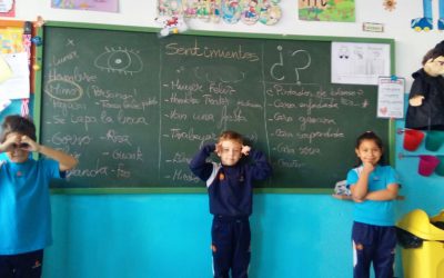 Primaria está cambiando: “Hay que enseñar a pensar más que a memorizar”