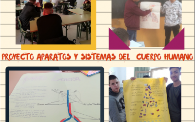 Proyecto en FPB sobre aparatos y sistemas del cuerpo humano