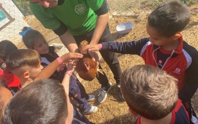 Salida al aula de otoño de Educación Infantil