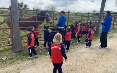 Los alumnos/as de tres años visitan la Granja Escuela